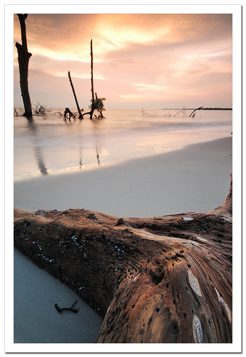 wood sunset seascape beach nikon sigma filter malaysia 1020mm selangor d300 cokin banting nd4 gnd4 kelanang p121m p153 azralfikri shazral
