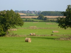 Dompierre sur Héry - Photo of Lys