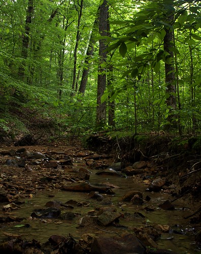 creek forest kentucky ky naturepreserve vernondouglas