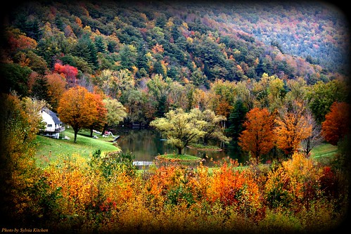 autumn trees friends reflection fall colors ulstercounty thecatskills