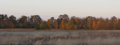 autumn sunset oregon eugene thatfield