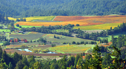 california color fall winery mendocino andersonvalley internationalgeographic