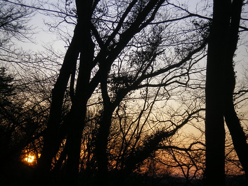 light sunset orange cloud sun tree sol nature japan forest evening soleil solar 日本 自然 太陽 夕日 空 gunma afterglow settingsun 光 群馬 夕焼け kiryu オレンジ 落日 森 陽光 日没 光輝 桐生 夕