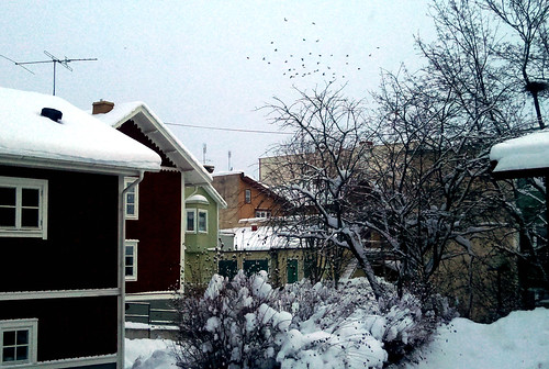 winter snow vinter sweden snö västmanland bergslagen lindesberg