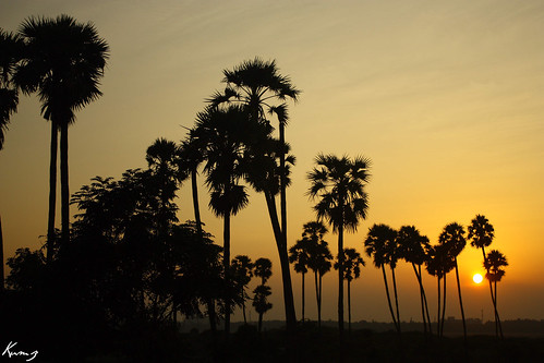 sunset palmtrees chennai ecr supershot rayleighscattering abigfave anawesomeshot canoneos450d ecrchennai