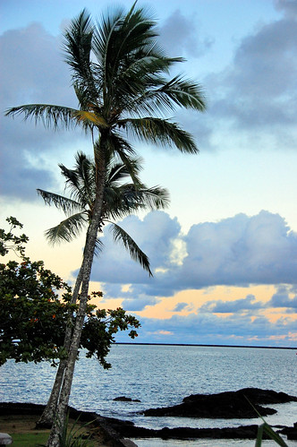 ocean sunset beach clouds palms hawaii photo beaches hilo cocoanutpalm