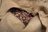 Uganda - Cocoa nibs, also traded by Ugacof