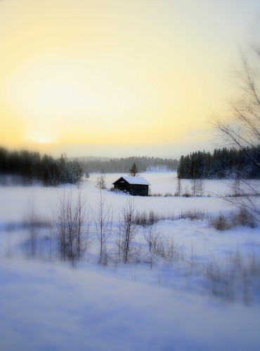 winter sunset snow vinter snö solnedgång the4elements flickraward norrlandörnsköldsvik