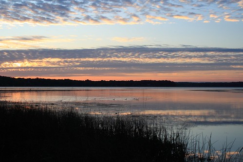 morning sky water alexandria sunrise dawn virginia va potomac marsh potomacriver alexandriava dykemarsh