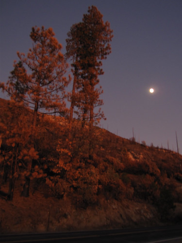 california sunset usa moon nationalpark yosemite foresta