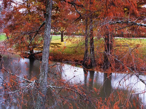 park travel autumn trees usa reflection green nature water creek canon mississippi leland landscapes scenery view state south peaceful powershot daytime cypresses tranquil baldcypress roadsidepark sx10is waltphotos