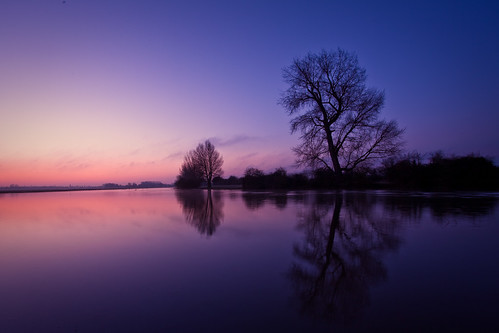 morning light sky reflection tree thames sunrise early peaceful serene oxfordshire