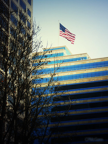 trees silhouette architecture buildings interesting americanflag sacramento bankofthewesttower