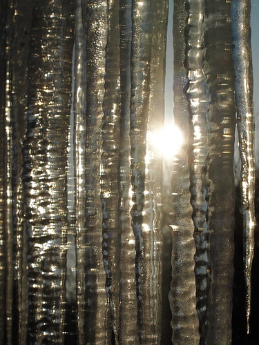 winter light ohio sunlight cold reflection ice sunrise frozen curtain icicle westerville icicles