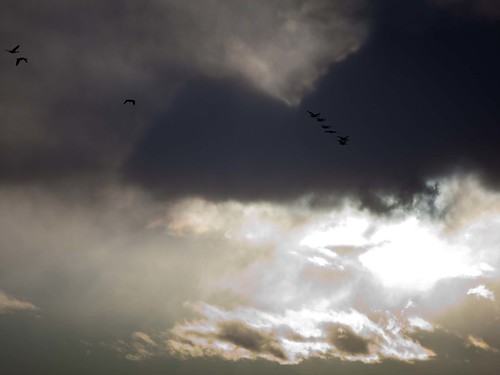 winter storm west silhouette clouds canon geese wyoming fremontcounty