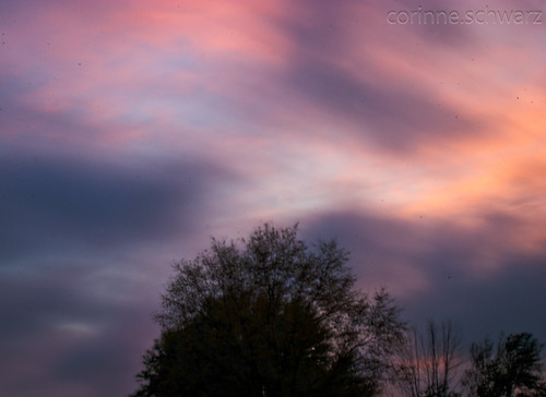 longexposure sunset clouds purple