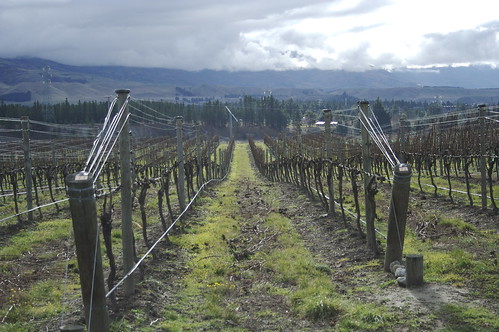 Bald Hills Winery, Otago