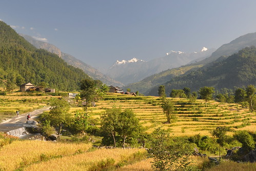 travel nepal mountains field trek geotagged nikon rice circuit d90 manaslu 18105vr
