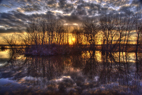 sky lake reflection tree nature water silhouette backlight clouds sunrise landscape photo spring colorado denver chatfield littleton 201003