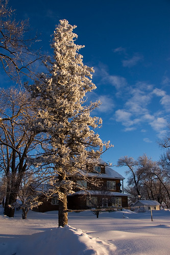 blue winter sky house snow tree minnesota clouds farm peaceful photoblog evergreen mn jol windom shf shalomhillfarm katsingercom