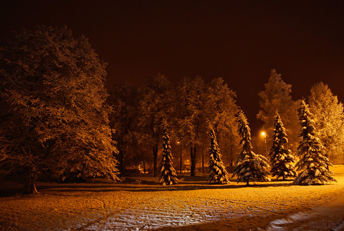 trees snow tree nature night geotagged estonia pentax 2009 km ohhh est idavirumaa eesti sonda da1855mm flickrestrellas vanagram pentaxart platinumpeaceaward