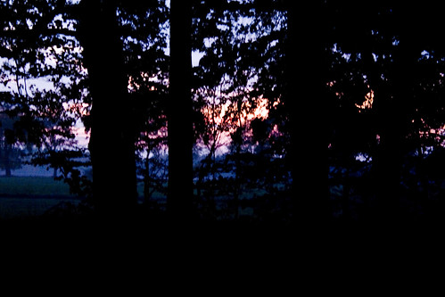 wood autumn sunset fall forest canon october 300d appel digitalrebel 2009 klauspeter sittensen scheesel iveforgottenmytripod rescuebyrawmodeandphotoshop