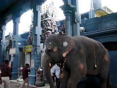 Kanniga Parameswari Temple