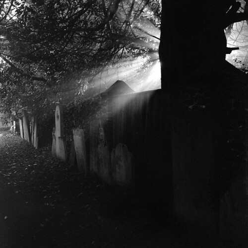 uk winter shadow england blackandwhite bw sun mist tree 120 6x6 film leaves fog wall geotagged mono afternoon hampshire graves bronica churchyard paths ilford gravestones radiant beams hursley hp5plus s2a zenzabronicas2a nikkorp75mm128 nikkorp75f28 filmdev:recipe=5085 s2am013 geo:lat=51025434 geo:lon=1391812