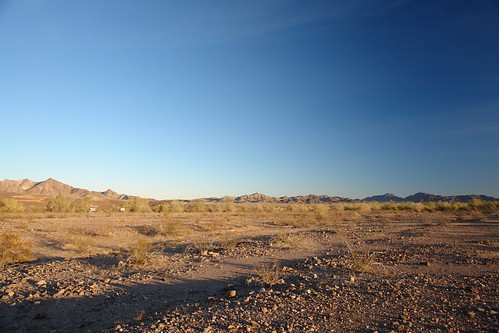 geotagged desert geo:lat=3343373748008 geo:lon=114854979473158 paloverdewilderness