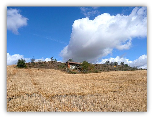españa rural spain paisaje campo trigo palencia siembra colmenar verano2009a
