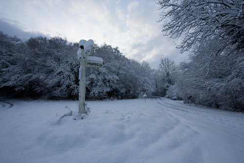 wood trees winter snow cold rural sunrise fence landscape dawn sussex countryside woods alone quiet silent empty country peaceful lane signpost eastsussex isolated wintry buxted nantuck