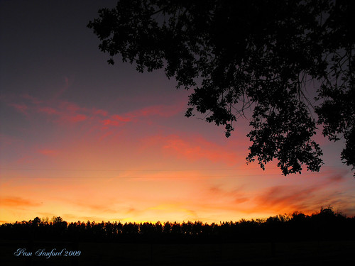 sunset florida cottondale