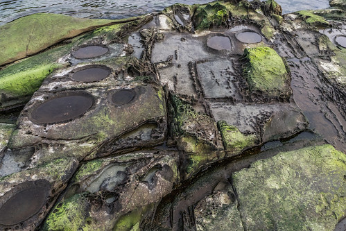 ladysmith ladysmithbc cowichan canada vancouverisland bc britishcolumbia beach sandstone moss algae water sony sonya7m2 a7m2 rocks rock stone landscape