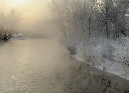 mist snow bird sunrise river goose idaho boise boiseriver