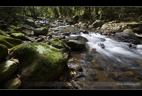 water creek canon rainforest rocks australia wideangle naturalbridge qld aussie aus 1020mm manfrotto goldcoasthinterland naturalarch sigmalens eos450d 450d numinbahvalley sorenmartensen waterstreamsandwaterfalls