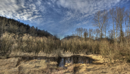panorama lake mountains grass clouds geotagged early spring dry wetlands fraserriver hdr abbotsford chilliwack fraservalley janusz leszczynski veddercanal geo:lat=49132127 geo:lon=122092833 004041