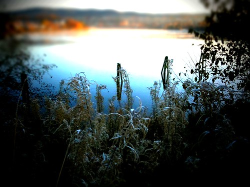 lake norway iphone skien iphoneography