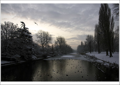 morning winter snow ice netherlands amsterdam birds sunrise geotagged canal 2010 geo:lon=4799416 geo:lat=52357931