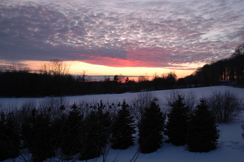 winter sunset albion