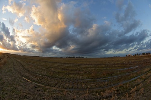 sunset clouds texas katy mud farm farming fisheye puddles greatplains katytexas brookshire winterfield brookshiretexas