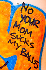 No Your Mom Sucks My Balls