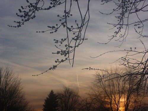 blue trees winter sunset sky orange sun west clouds march skies dusk belmont michigan