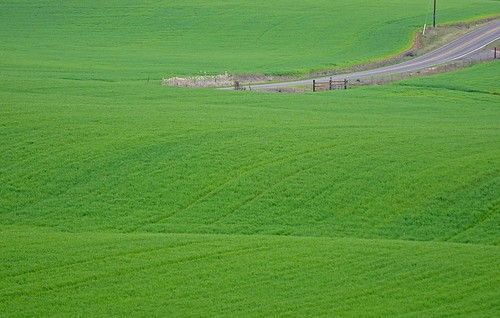 county trip green field grass bicycle oregon spring nikon ride hill may marion valley 緑 willamette 草 d7000 edmundgarman