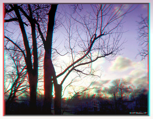trees sunset sky cloud silhouette outside outdoors stereoscopic 3d md branch fuji brian maryland anaglyph stereo wallace pasadena limb stereoscopy stereographic brianwallace fujiw1 real3dw1