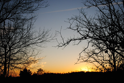trees sunset nature outdoors tennessee country clarity laurahalfacre kimonoloco