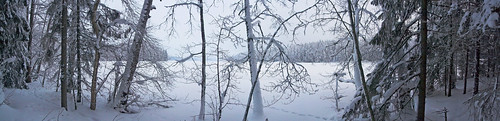 trees winter panorama lake snow tree ice nature forest finland landscape geotagged naturephotography saari mäntsälä haukankierros hunttijärvi