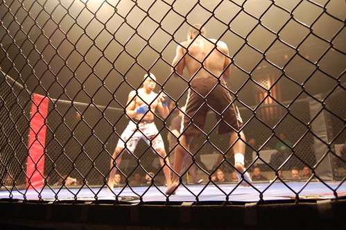 Arnold Amateur Mixed Martial Arts (MMA) Competition