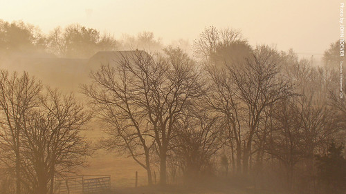 park morning november autumn fall fog foggy kansas 2009 lenexa shawneemissionpark foggymorning joco johnsoncounty kansascitymetro kcmetro november2009
