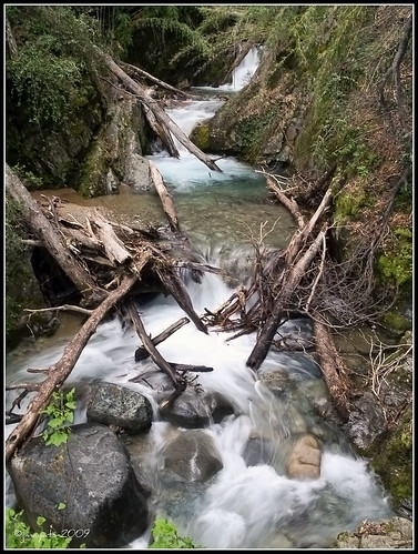 water argentina river agua cinco flowing aigua cascada riu pedres saltos troncs alerces