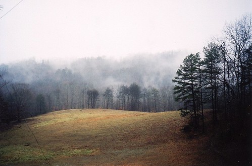 winter mist fog kentucky ky gray fields pastures easternkentucky filmphoto fogandrain fabulousfog iheartfog3
